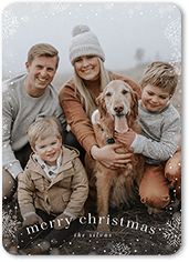 Snowfall Surroundings