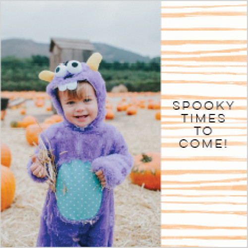 Seasonal Adventures 12x12 undefined  Wall Calendar