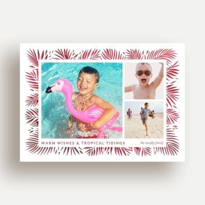 Tropical Tidings