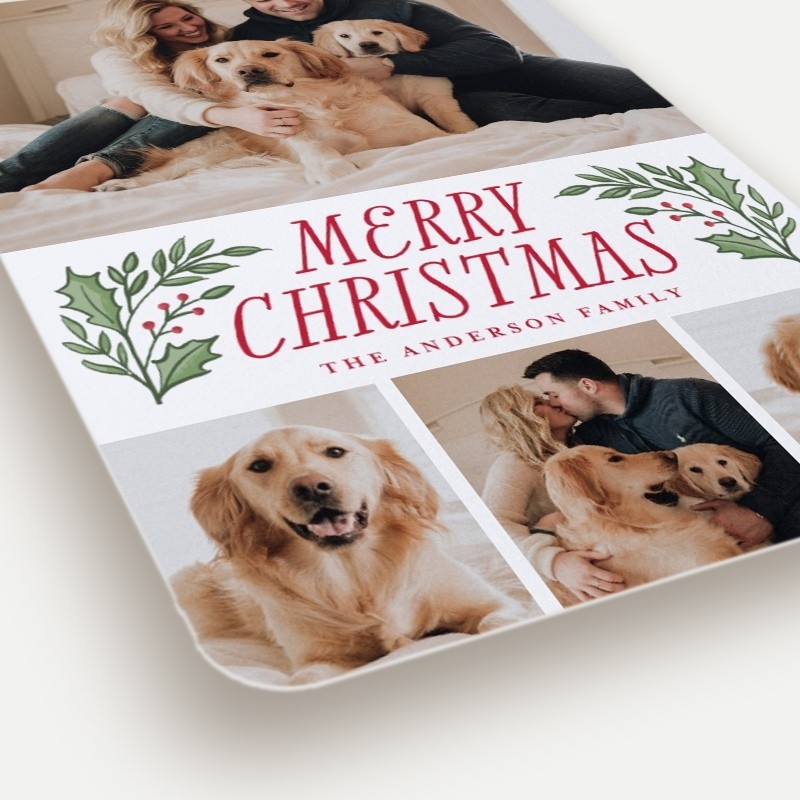 Holly Sprigs Holiday Card