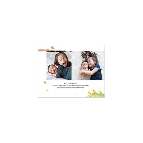 Woodland Baby 11x14 undefined  Premium Album