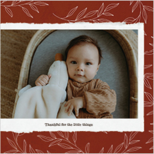 Seasonal Patterns Calendar 12x12 undefined  Wall Calendar