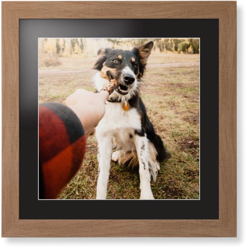 Pet Photo Gallery