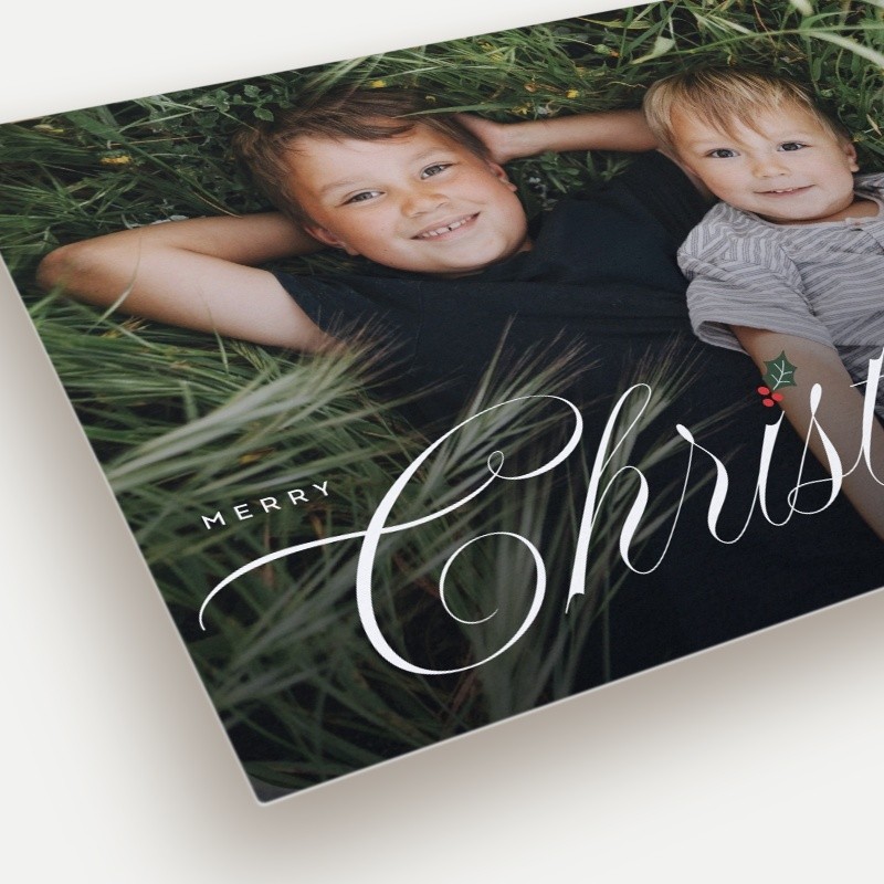 Holly Sprig Holiday Card