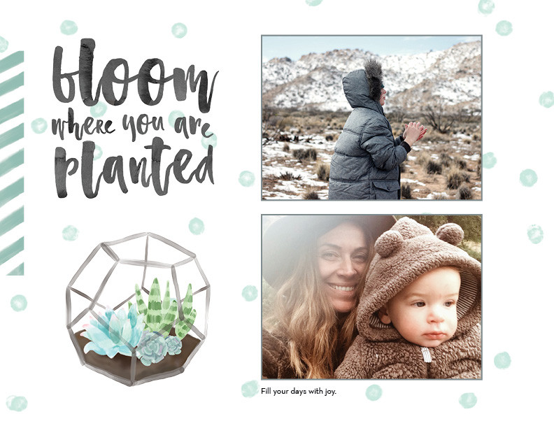 Watercolor Botanicals 8x11 undefined  Wall Calendar