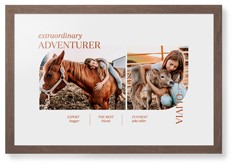 Favorite Infographic​