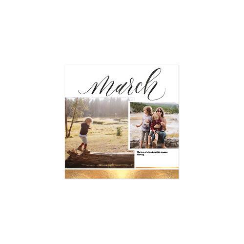 Elegant Script Year In Review 12x12 undefined  Premium Album