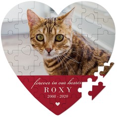 Furever In Our Hearts