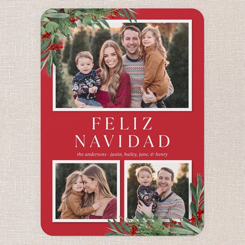 Botanical Basics