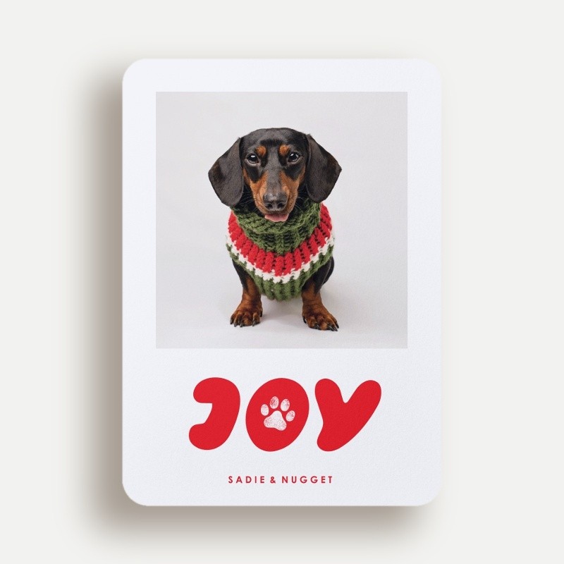 Paw Print Joy Holiday Card