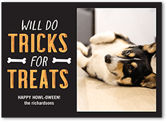 Tricks for Treats