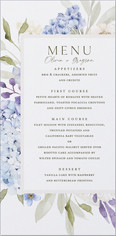Hydrangea Highlight