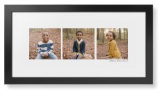 Panoramic Gallery of Three