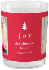 Simple Evergreen Joy