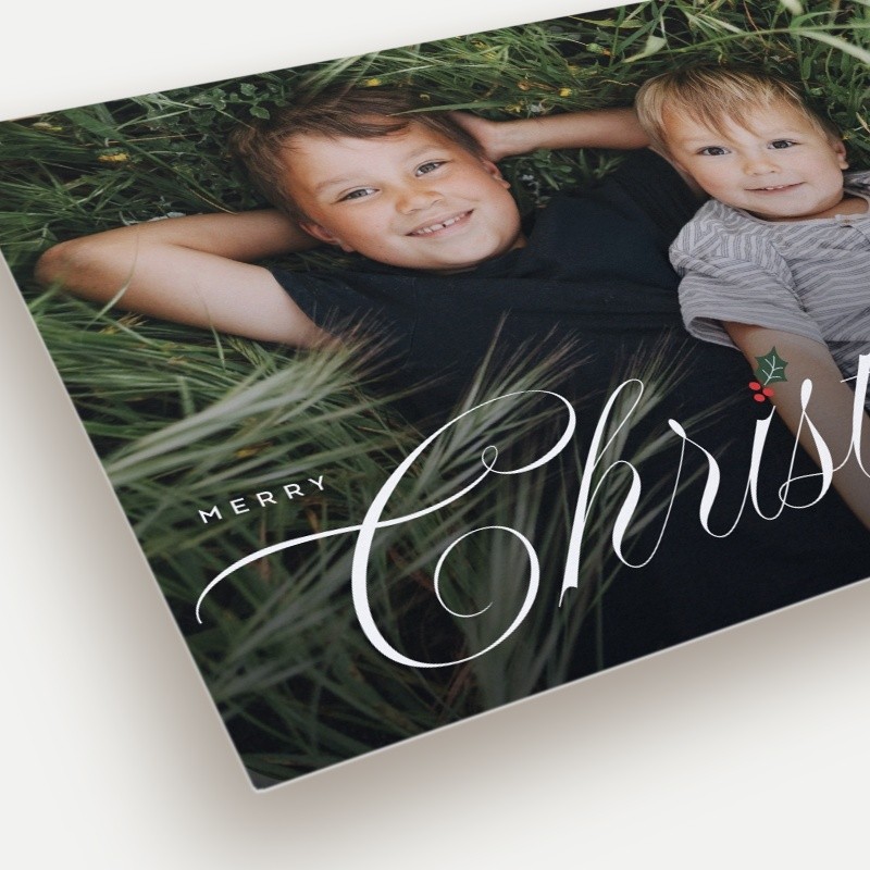 Holly Sprig Holiday Card