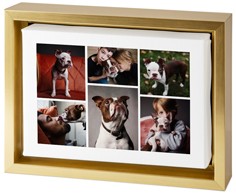 Clean Gallery of Six