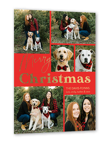 Swanky Message 5x7 Red  Holiday Card