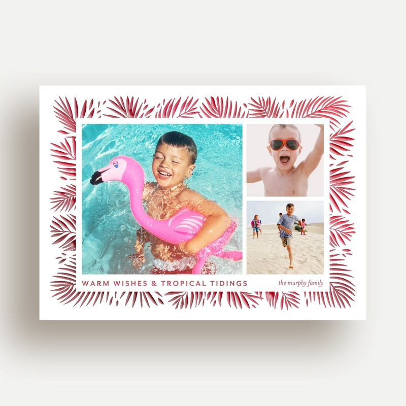 Tropical Tidings