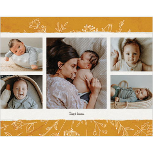 Seasonal Patterns Calendar 8x11 undefined  Wall Calendar