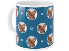 Floating Paws and Pets