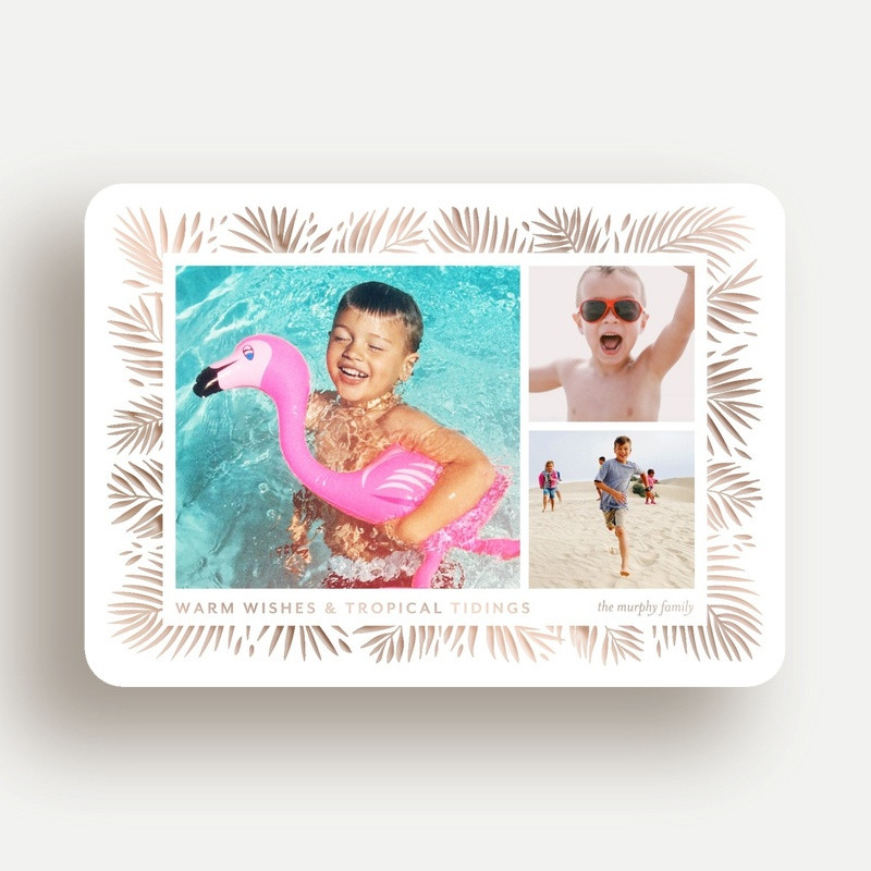 Tropical Tidings