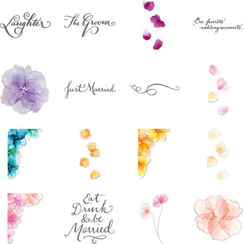 Vivid Blooms 12x12 undefined  Premium Album