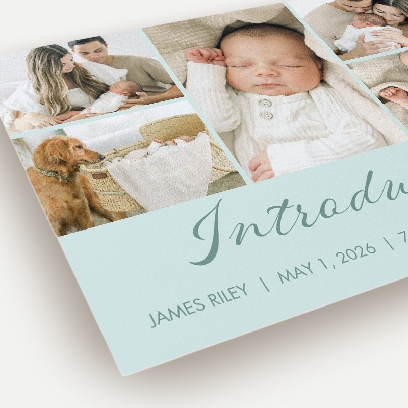 Softly Introducing Birth Announcement