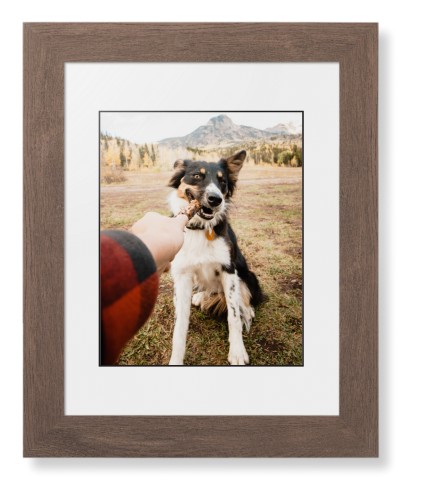 Pet Photo Gallery