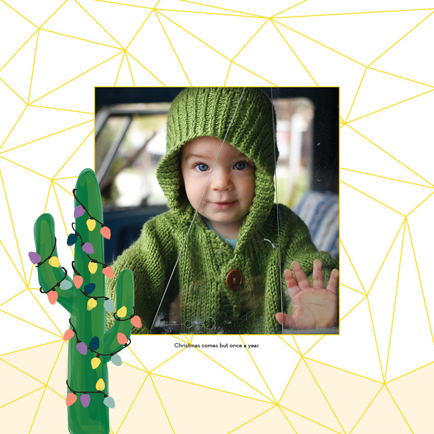 Watercolor Botanicals 12x12 undefined  Wall Calendar