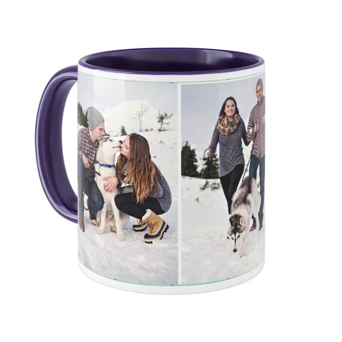 Pets Gallery of Three
