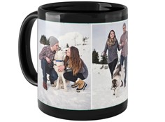 Pets Gallery of Three