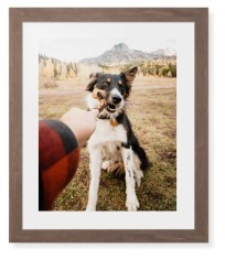Pet Photo Gallery