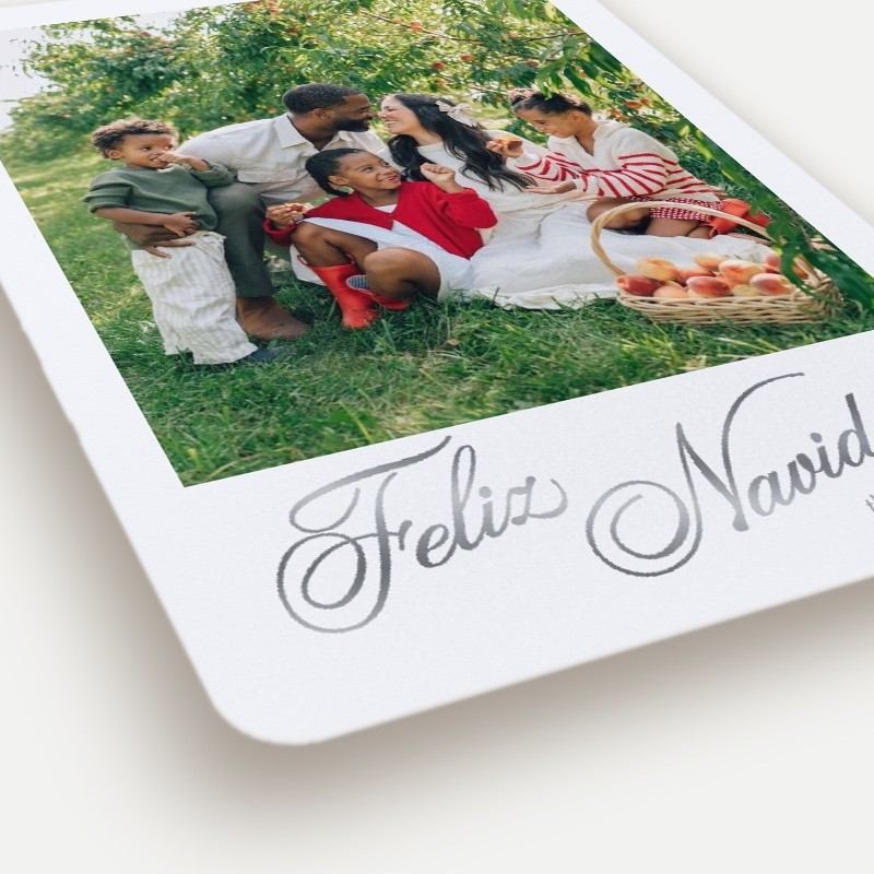 Elegant Gallery Holiday Card