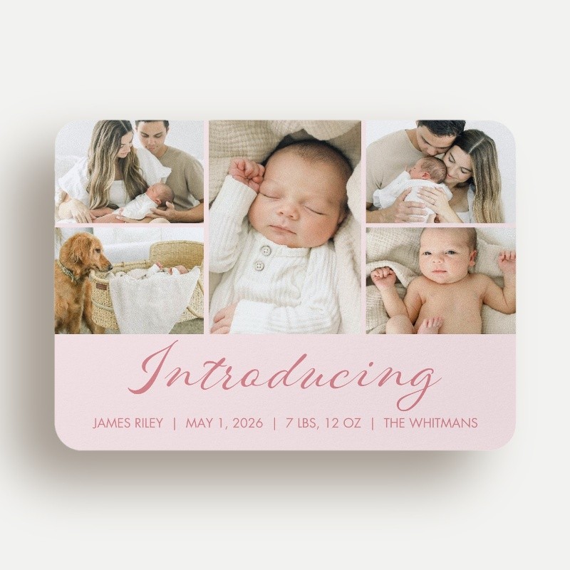 Softly Introducing