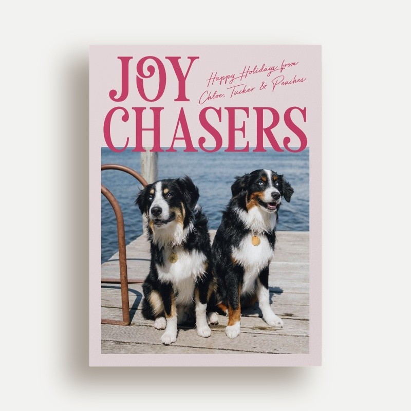 Joy Chasers