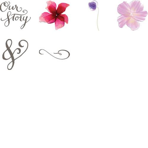 Vivid Blooms 12x12 undefined  Premium Album