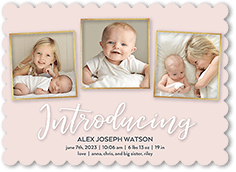 Script Introductions