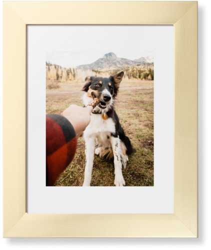Pet Photo Gallery