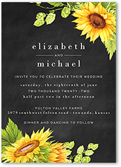 Bright Sunflower