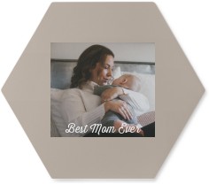 Gallery of One Border