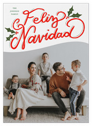 Vibrant Holly Greetings