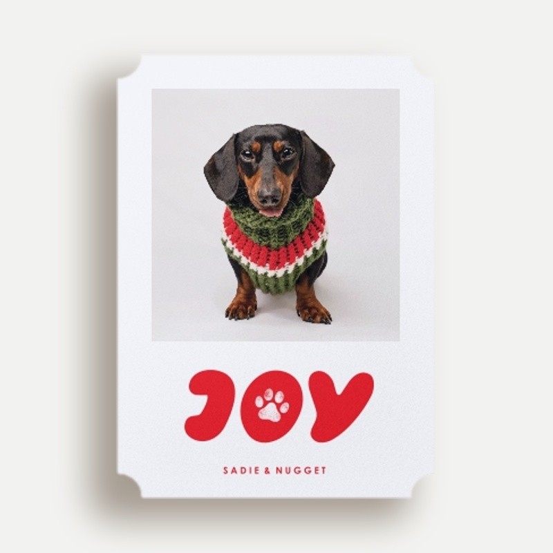 Paw Print Joy
