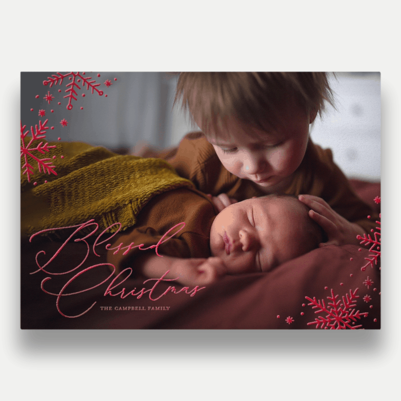 Delicate Flakes Holiday Card