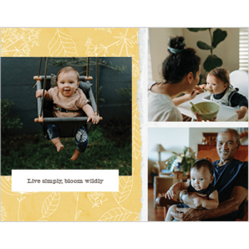 Seasonal Patterns Calendar 8x11 undefined  Wall Calendar