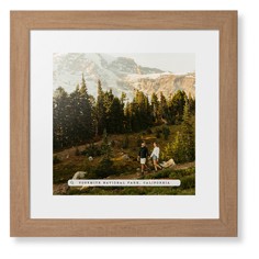 Travel Banner