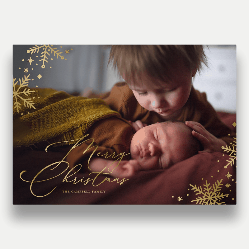Delicate Flakes Holiday Card