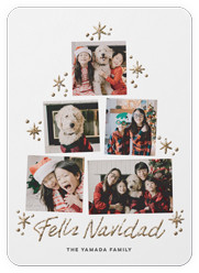 Tree Photo Layout