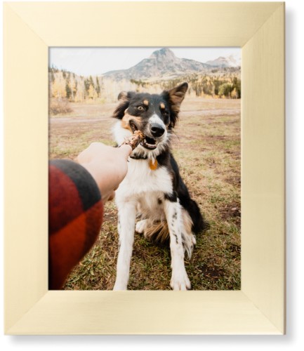 Pet Photo Gallery