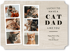Cat Dad