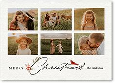 Bird and Holly Berry